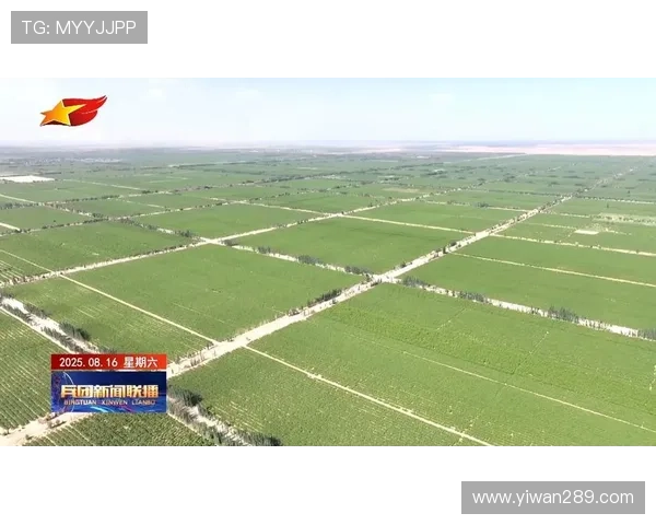 兵团卫视在线直播高清观看平台正式上线 兵团卫视在线直播高清观看平台正式上线